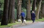 Huizen 6 en n7 juli 2024
Linda de Mol en partner Jeroen Rietbergen wandelend met hun honden rondom hun huis .