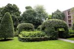 Den Haag 16 juli 2024
Binnen kijken in paleis Noordeinde en de koninklijke stallen die weer open gaan voor publiek . Tuin Paleis Noordeinde