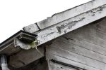 Vinkeveen 29 mei 2025
De plashoeve wordt gesloopt en is al helemaal vervallen.