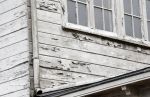 Vinkeveen 29 mei 2025
De plashoeve wordt gesloopt en is al helemaal vervallen.