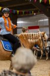 Den Haag 5 juli 2025
Hare Koninklijke Hoogheid Prinses Beatrix der Nederlanden heeft op zaterdagmiddag 5 juli het 60-jarig jubileum van de Stichting Paardrijden voor Gehandicapten (SPG) op de Madurodam Manege in Den Haag bijgewoond.