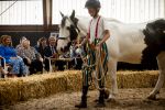 Den Haag 5 juli 2025
Hare Koninklijke Hoogheid Prinses Beatrix der Nederlanden heeft op zaterdagmiddag 5 juli het 60-jarig jubileum van de Stichting Paardrijden voor Gehandicapten (SPG) op de Madurodam Manege in Den Haag bijgewoond.