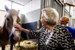 Den Haag 5 juli 2025
Hare Koninklijke Hoogheid Prinses Beatrix der Nederlanden heeft op zaterdagmiddag 5 juli het 60-jarig jubileum van de Stichting Paardrijden voor Gehandicapten (SPG) op de Madurodam Manege in Den Haag bijgewoond.
