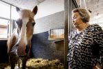 Den Haag 5 juli 2025
Hare Koninklijke Hoogheid Prinses Beatrix der Nederlanden heeft op zaterdagmiddag 5 juli het 60-jarig jubileum van de Stichting Paardrijden voor Gehandicapten (SPG) op de Madurodam Manege in Den Haag bijgewoond.