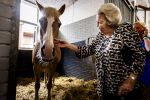 Den Haag 5 juli 2025
Hare Koninklijke Hoogheid Prinses Beatrix der Nederlanden heeft op zaterdagmiddag 5 juli het 60-jarig jubileum van de Stichting Paardrijden voor Gehandicapten (SPG) op de Madurodam Manege in Den Haag bijgewoond.
