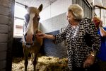 Den Haag 5 juli 2025
Hare Koninklijke Hoogheid Prinses Beatrix der Nederlanden heeft op zaterdagmiddag 5 juli het 60-jarig jubileum van de Stichting Paardrijden voor Gehandicapten (SPG) op de Madurodam Manege in Den Haag bijgewoond.