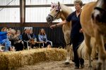 Den Haag 5 juli 2025
Hare Koninklijke Hoogheid Prinses Beatrix der Nederlanden heeft op zaterdagmiddag 5 juli het 60-jarig jubileum van de Stichting Paardrijden voor Gehandicapten (SPG) op de Madurodam Manege in Den Haag bijgewoond.