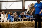 Den Haag 5 juli 2025
Hare Koninklijke Hoogheid Prinses Beatrix der Nederlanden heeft op zaterdagmiddag 5 juli het 60-jarig jubileum van de Stichting Paardrijden voor Gehandicapten (SPG) op de Madurodam Manege in Den Haag bijgewoond.