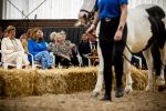 Den Haag 5 juli 2025
Hare Koninklijke Hoogheid Prinses Beatrix der Nederlanden heeft op zaterdagmiddag 5 juli het 60-jarig jubileum van de Stichting Paardrijden voor Gehandicapten (SPG) op de Madurodam Manege in Den Haag bijgewoond.