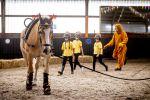 Den Haag 5 juli 2025
Hare Koninklijke Hoogheid Prinses Beatrix der Nederlanden heeft op zaterdagmiddag 5 juli het 60-jarig jubileum van de Stichting Paardrijden voor Gehandicapten (SPG) op de Madurodam Manege in Den Haag bijgewoond.