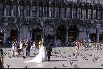Venetie 26 augustus 2000
Venetie
San Marco plein