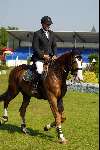 Valkenswaard 18 augustus 2002
Concours bij Jan Tops .
Bert Heijman
Concours Hippique