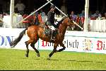 Valkenswaard 18 augustus 2002
Concours bij Jan Tops .
Bert Heijman
Concours Hippique