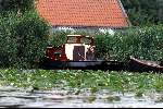 24 juli 2002
Plomplbladeren en boot bij Ouderkerk a/d Amstel
Sloepenroute tussen Vinkeveen en Amsterdam