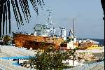 Curacao 14 augustus 2002
Prins Willem Alexander en Maxima duiken
Zee aquarium