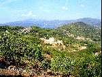 22 augustus 2003  
Isola Eiland Elba