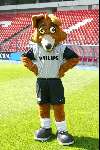 Eindhoven Juli 2003
Presentatie PSV Seizoen 2003/2004
Phoxy mascotte met PSV uit-shirt