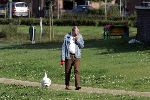 Houten 28 augustus 2004
Nico Zwinkels hond uitlaten