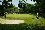 Zondag 8 Augustus 2004
Dutch KLM Open 2004 Golf
Hilversumsche golfclub
Robert Jan Derksen