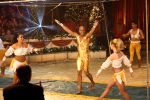 Helmond, 11 November 2009
Kestrscircus Renz met diverse BN-ers in aktie
Humberto Tan aan de trapeze
Foto Peter Smulders