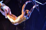 Helmond, 11 November 2009
Kestrscircus Renz met diverse BN-ers in aktie

Foto Peter Smulders
