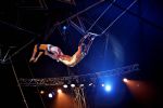 Helmond, 11 November 2009
Kerstcircus Herman Renz met BN-ers
Humberto Tan tijdens zijn uitvoering aan de trapeze
Foto Peter Smulders BV