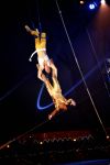Helmond, 11 November 2009
Kerstcircus Herman Renz met BN-ers
Humberto Tan tijdens zijn uitvoering aan de trapeze
Foto Peter Smulders BV