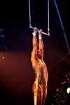 Helmond, 11 November 2009
Kerstcircus Herman Renz met BN-ers
Humberto Tan tijdens zijn uitvoering aan de trapeze
Foto Peter Smulders BV