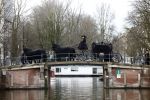 Amsterdam 8 december 2009
Begrafenis Ramses Shaffy op zorgvlied. Ramses vertrok met koets vanaf Carre. Daar waren Liesbeth List met man en dochter en Kitty Courbois
Peter Smulders bv