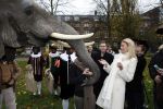 Amsterdam 16 november 2009
Presentatie Douwe egberts sinterklaas boeken. Susan Smit met olifant
Peter Smulders bv