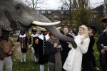 Amsterdam 16 november 2009
Presentatie Douwe egberts sinterklaas boeken. Susan Smit met olifant
Peter Smulders bv