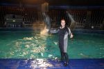 Harderwijk 30 november 2011
Frans Bauer aan het trainen voor show met dolfijnen in het dolfinarium. Zijn vader en zoon Christiaan zijn erbij.
Peter Smulders bv