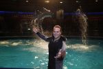 Harderwijk 30 november 2011
Frans Bauer aan het trainen voor show met dolfijnen in het dolfinarium. Zijn vader en zoon Christiaan zijn erbij.
Peter Smulders bv
