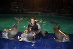 Harderwijk 30 november 2011
Frans Bauer aan het trainen voor show met dolfijnen in het dolfinarium. Zijn vader en zoon Christiaan zijn erbij.
Peter Smulders bv
