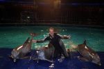 Harderwijk 30 november 2011
Frans Bauer aan het trainen voor show met dolfijnen in het dolfinarium. Zijn vader en zoon Christiaan zijn erbij.
Peter Smulders bv