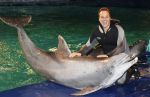 Harderwijk 30 november 2011
Frans Bauer aan het trainen voor show met dolfijnen in het dolfinarium. Zijn vader en zoon Christiaan zijn erbij.
Peter Smulders bv