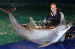 Harderwijk 30 november 2011
Frans Bauer aan het trainen voor show met dolfijnen in het dolfinarium. Zijn vader en zoon Christiaan zijn erbij.
Peter Smulders bv