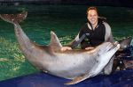 Harderwijk 30 november 2011
Frans Bauer aan het trainen voor show met dolfijnen in het dolfinarium. Zijn vader en zoon Christiaan zijn erbij.
Peter Smulders bv