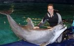 Harderwijk 30 november 2011
Frans Bauer aan het trainen voor show met dolfijnen in het dolfinarium. Zijn vader en zoon Christiaan zijn erbij.
Peter Smulders bv
