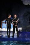 Harderwijk 30 november 2011
Frans Bauer aan het trainen voor show met dolfijnen in het dolfinarium. Zijn vader en zoon Christiaan zijn erbij.
Peter Smulders bv