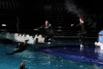 Harderwijk 30 november 2011
Frans Bauer aan het trainen voor show met dolfijnen in het dolfinarium. Zijn vader en zoon Christiaan zijn erbij.
Peter Smulders bv
