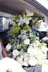 Sint Maarten 12 november 2011
Bloemen van de trouwerij van Jan en Liza Smit.
Peter Smulders bv