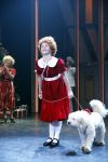 Den Bosch 25 november 2012
Premiere musical Annie op de parade in Den Bosch. cast met oa Jenny Arean Tony Neef Maaike Boerdam  ea
Peter Smulders bv