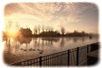 Nigtevecht 30 november 2012
De zon komt op achter ons huis met een beestje mist op de vecht.
Peter Smulders bv