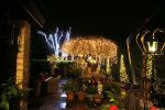 Aalsmeer 14 december 2012
Gerard Joling thuis in kerstsfeer.
Peter Smulders bv