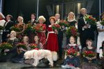 Den Bosch 25 november 2012
Premiere musical Annie op de parade in Den Bosch. cast met oa Jenny Arean Tony Neef Maaike Boerdam  ea
Peter Smulders bv