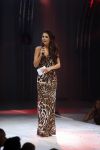 Bunnik 10 december 2012
Miss Nederland verkiezing gepresenteerd door Yolanthe Sneijder Cabau en Kim Kotter.
Peter Smulders bv