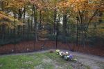 Lage Vuursche 18 november 2013
Graf prins Friso op begraafplaats lage Vuursche