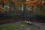 Lage Vuursche 18 november 2013
Graf prins Friso op begraafplaats lage Vuursche