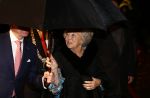 Scheveningen 30 november 2013
Voorstelling in het circustheater ivm met 200 jaar koninkrijk in Nederland.
Prinses Beatrix